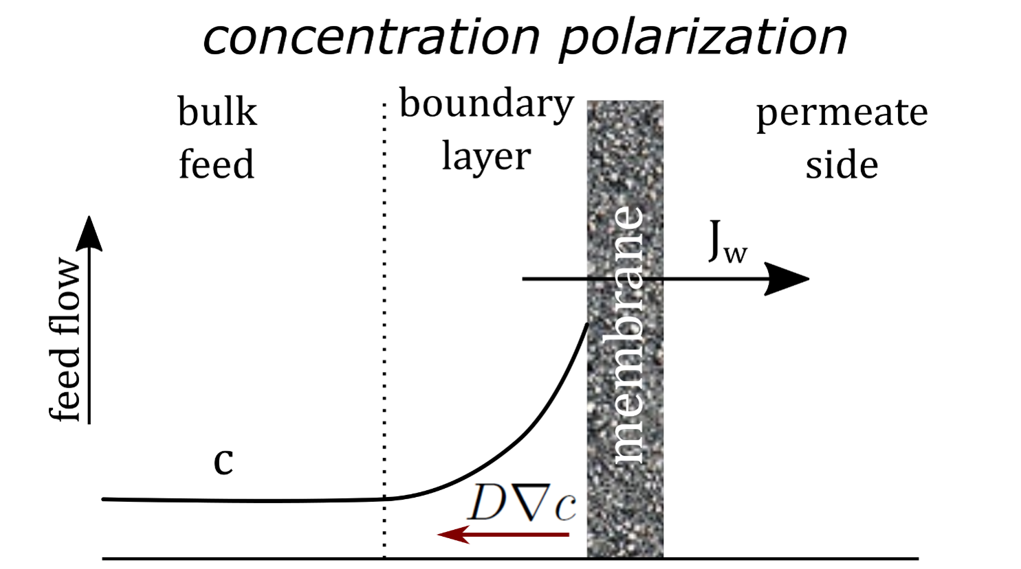 Concentration polarization