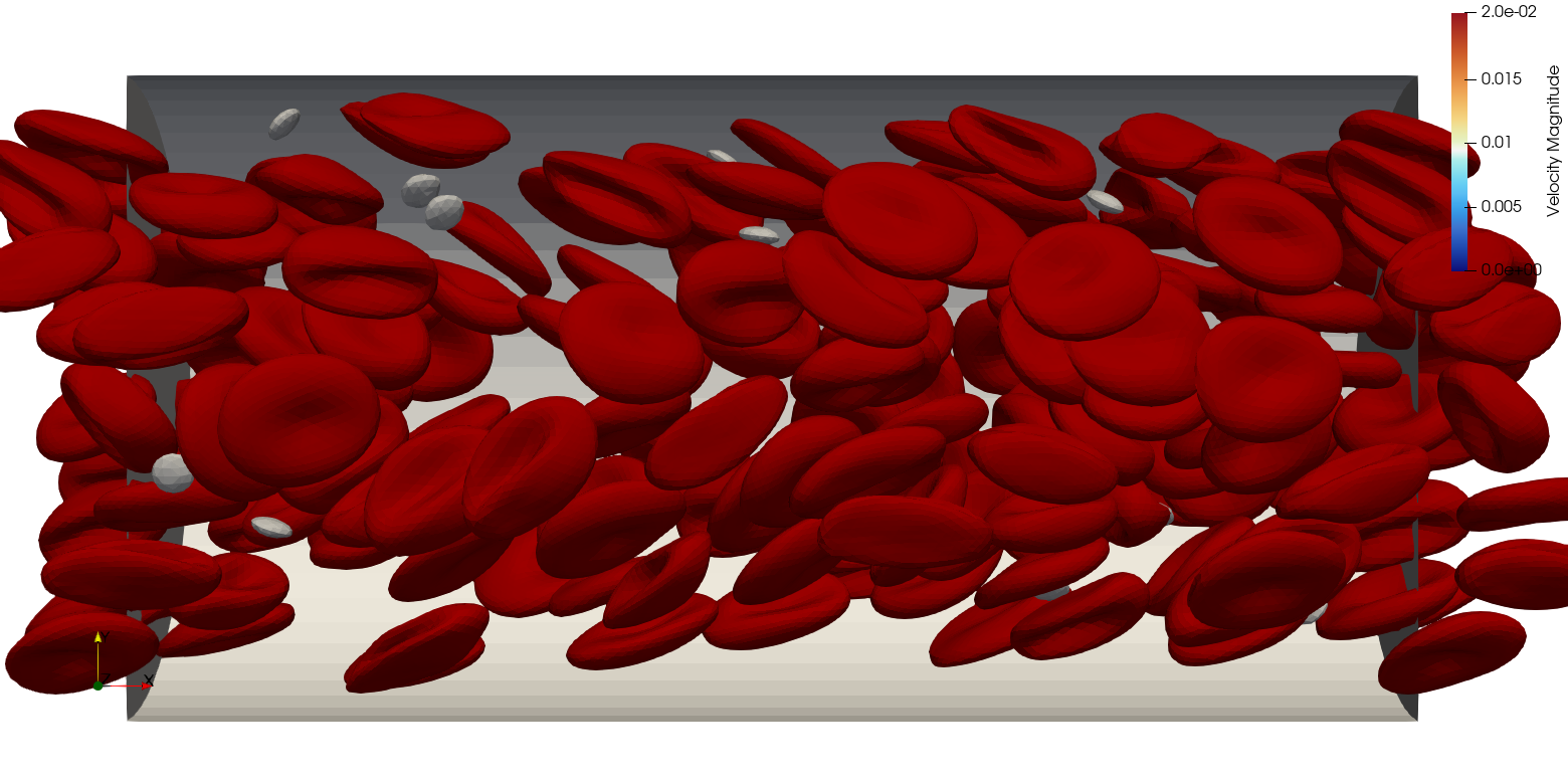 Red blood cells in channel flow
